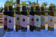 designmark-group-Gota-olive-oil-Portugal-02