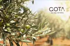 designmark-group-Gota-olive-oil-Portugal-03